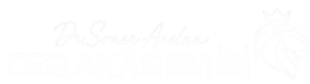 ceoakademisi.com